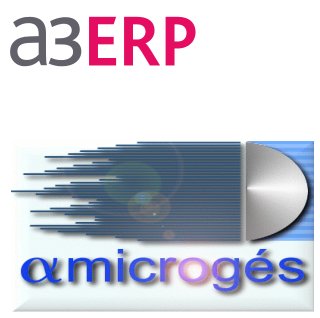 Logo Erp